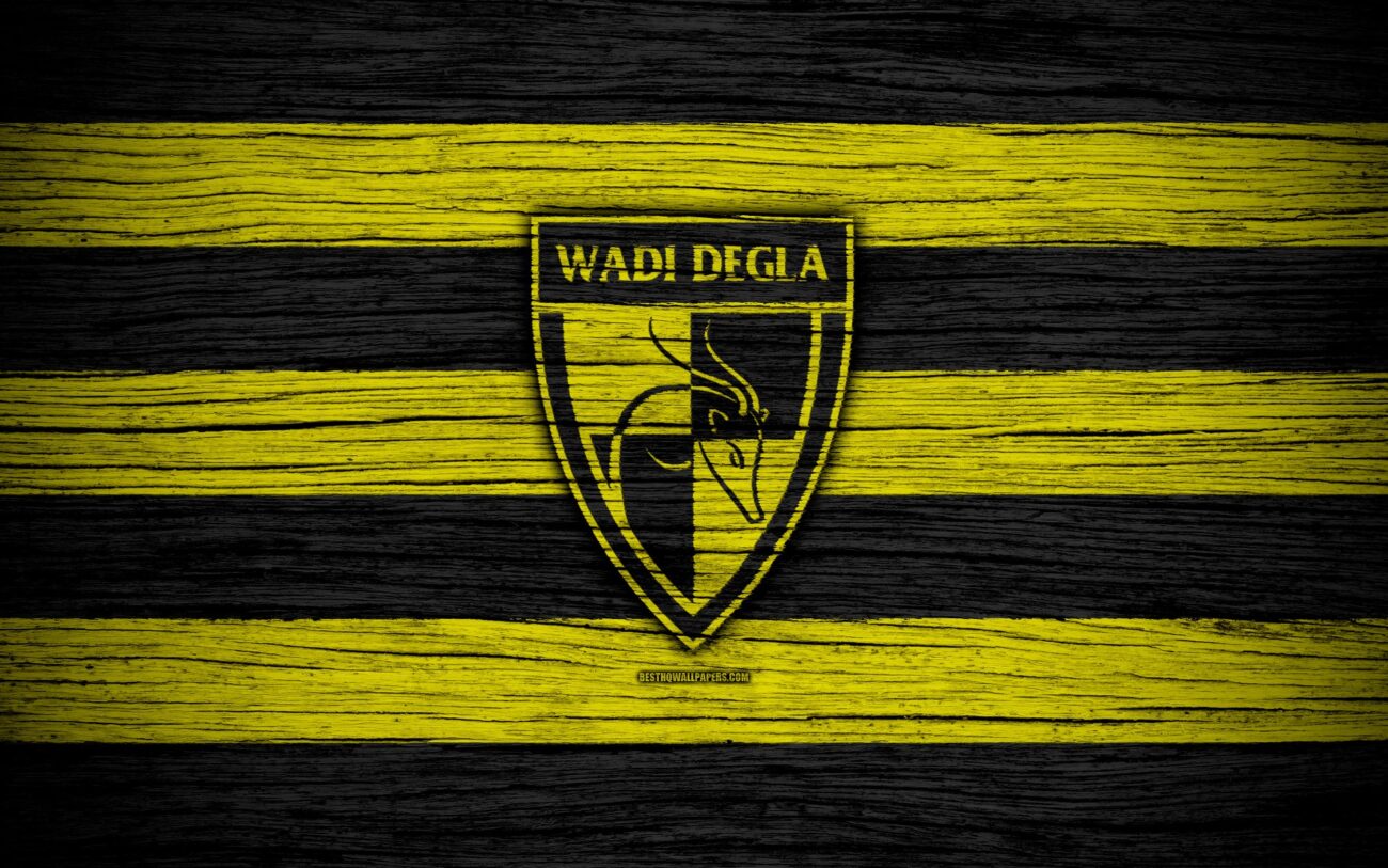 Wadi Degla FC